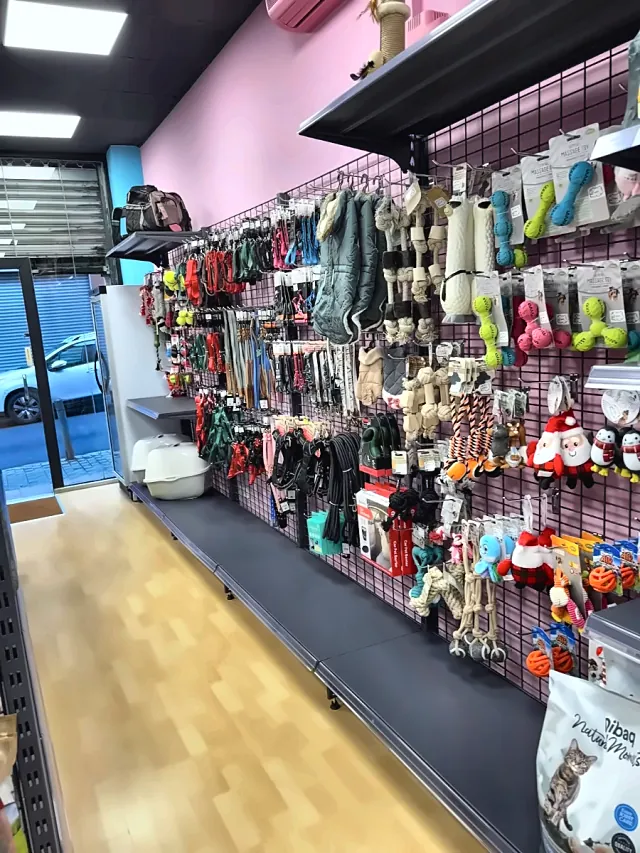 Pared de correas, arneses y juguetes para perros en Nova's Pet Shop